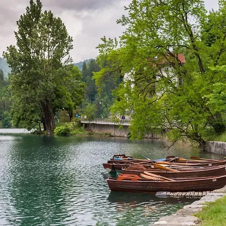 Jezero - Mountain View * Bled