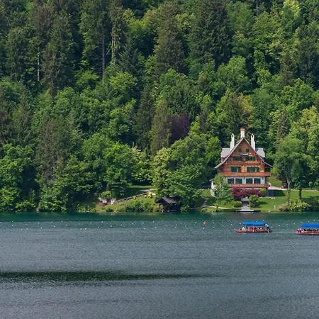 Jezero - Mountain View Bled